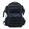Blue with Black Trim